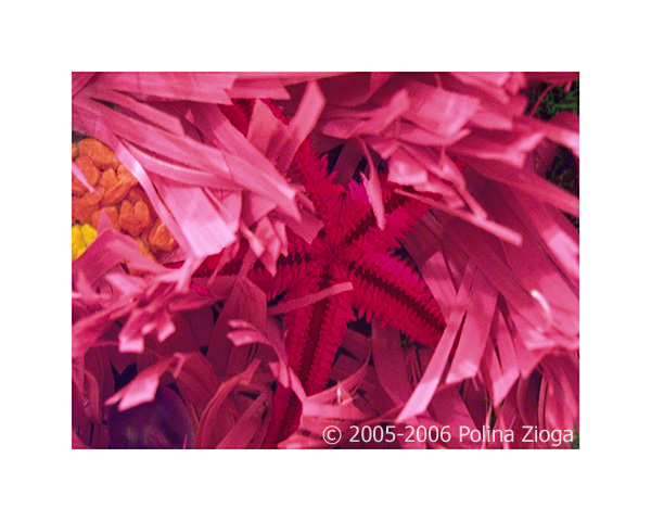 http://www.polina-zioga.com/files/gimgs/64_underthesurface-01.jpg