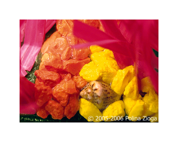 http://www.polina-zioga.com/files/gimgs/64_underthesurface-06.jpg
