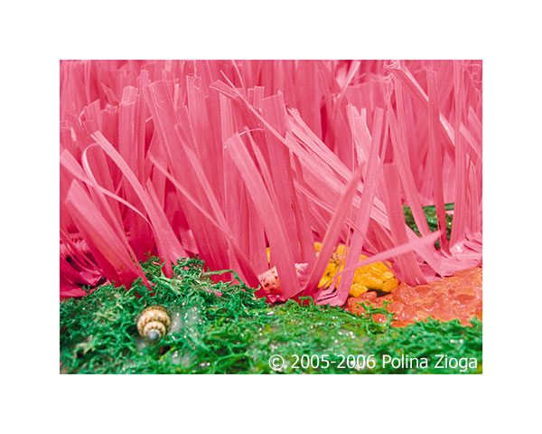 http://www.polina-zioga.com/files/gimgs/64_underthesurface-07.jpg