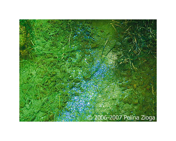 http://www.polina-zioga.com/files/gimgs/69_landscapeingreen-09.jpg