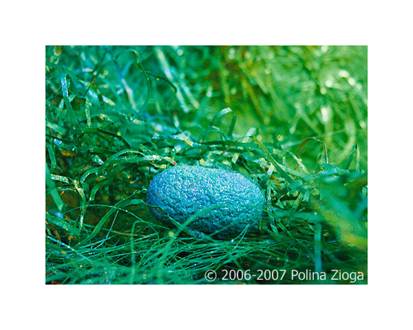 http://www.polina-zioga.com/files/gimgs/69_landscapeingreen-10.jpg