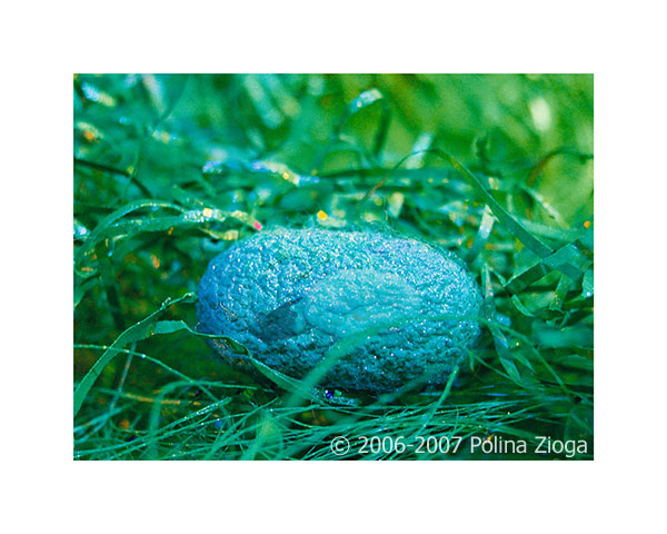 http://www.polina-zioga.com/files/gimgs/69_landscapeingreen-11.jpg