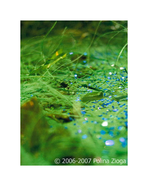 http://www.polina-zioga.com/files/gimgs/69_landscapeingreen-14.jpg