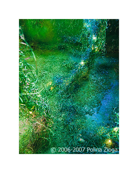 http://www.polina-zioga.com/files/gimgs/69_landscapeingreen-15.jpg