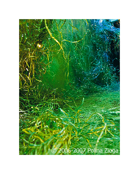 http://www.polina-zioga.com/files/gimgs/69_landscapeingreen-16.jpg